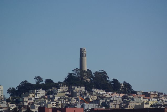 Coit tower Coit tower